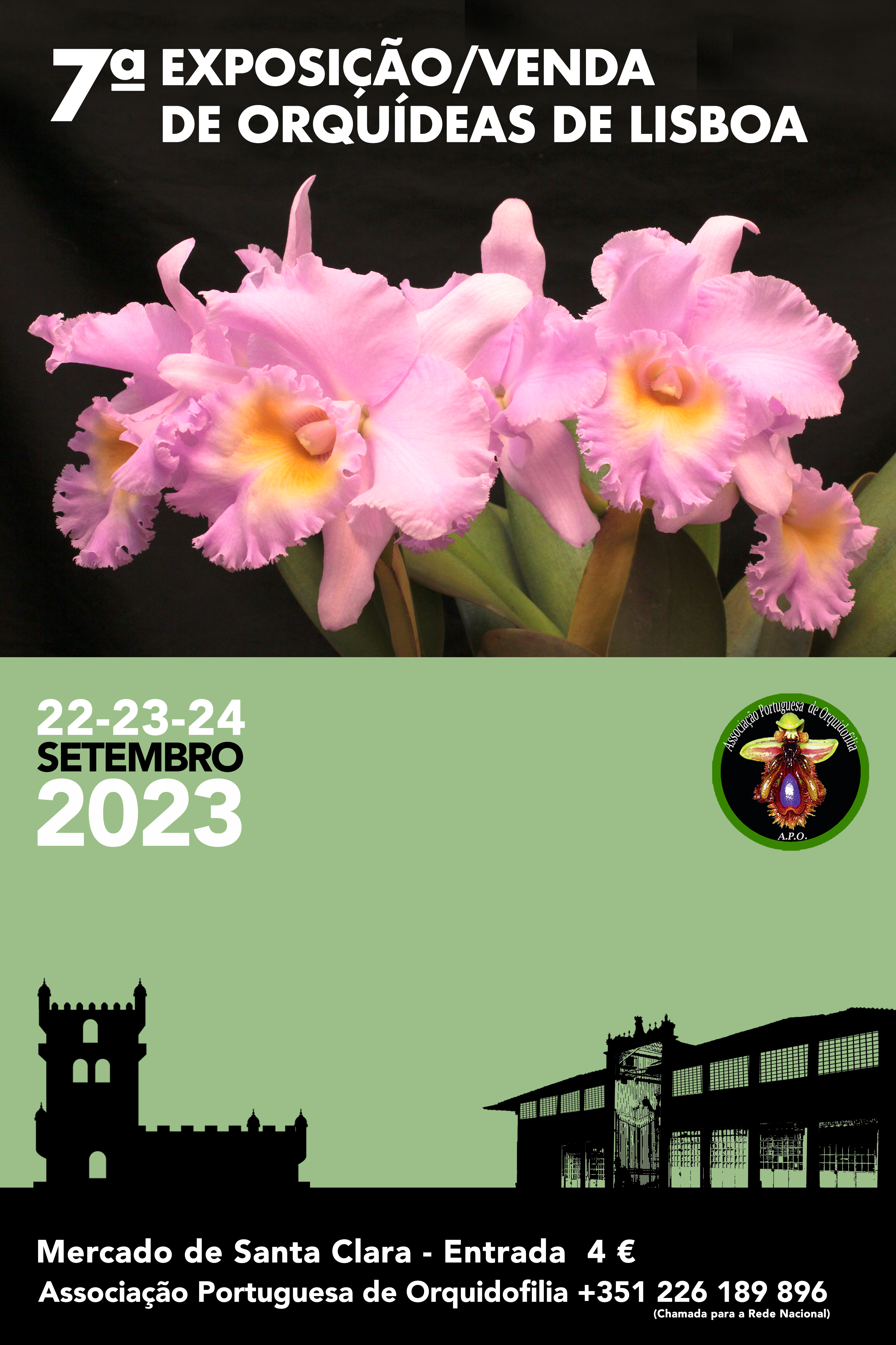 O Mercado de Santa Clara recebe em Setembro Orquídeas Raras em Flor
